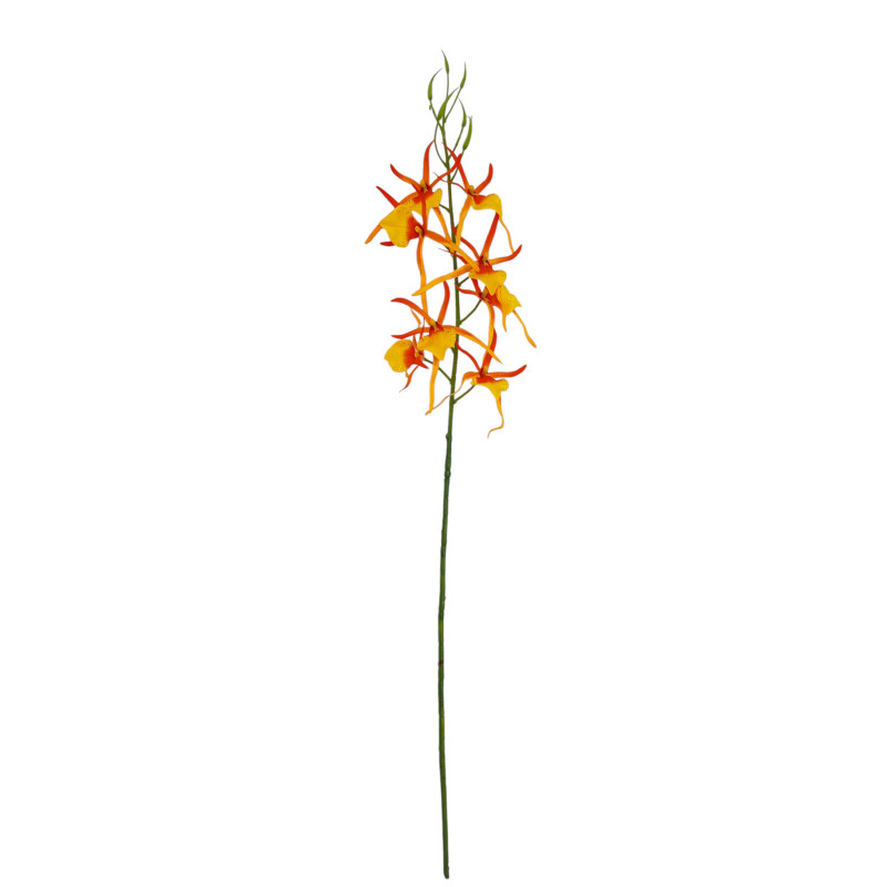 Orchidej pavoučí žluto-oranžová 66 cm