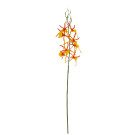 Orchidej pavoučí žluto-oranžová 66 cm