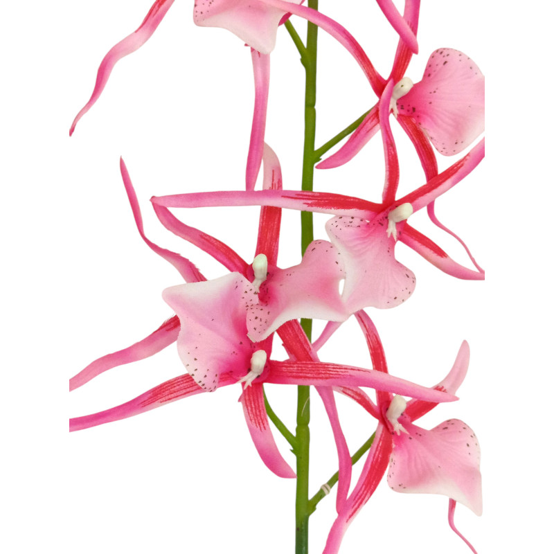 Orchidej pavoučí fialovo-bílá 66 cm