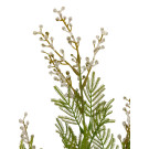 Větvička kvetoucí asparagus 3 barvy 77 cm