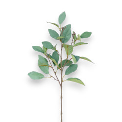 Magnolie větev šedo-zelená 62 cm