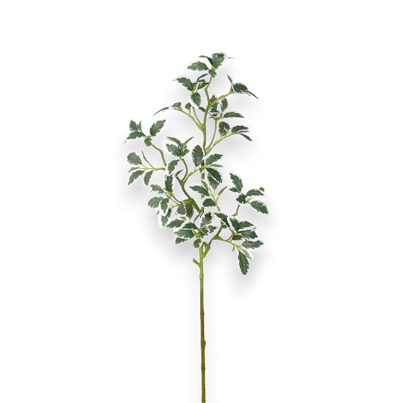 Větev mini Ficus zeleno-bílý 73 cm