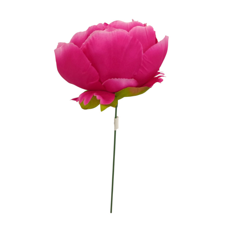 Pivoňka vazbová cerise Ø 12 cm