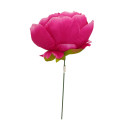 Pivoňka vazbová cerise Ø 12 cm