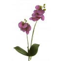 Orchidej Phalaenopsis lila s listy 51 cm