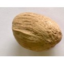 AMRA POD 10 ks natural 4 cm
