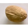 AMRA POD natural