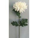 Chryzantéma bílá 60 cm