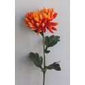 Chryzantéma oranžová 60 cm