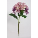 Hortenzie tm. a sv. fialová 50 cm