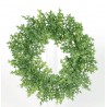 Věneček buxus