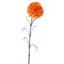 Karafiát oranžový 60 cm