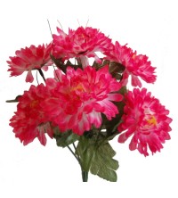 Chryzantéma kytice  - růžovo-bílá
