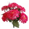 Chryzantéma kytice  - růžovo-bílá