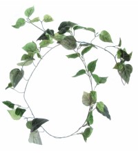 Girlanda Holland ivy 6 ks zelená 180 cm