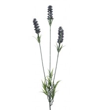 Levandule modro-fialová 62 cm