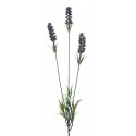 Levandule modro-fialová 62 cm