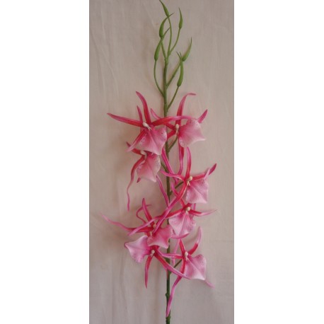 Orchidej