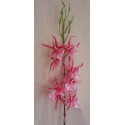 Orchidej pavoučí fialovo-bílá 66 cm