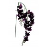 Orchidej