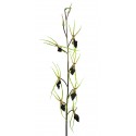 Orchidej pavoučí purpurově-zelená 120 cm