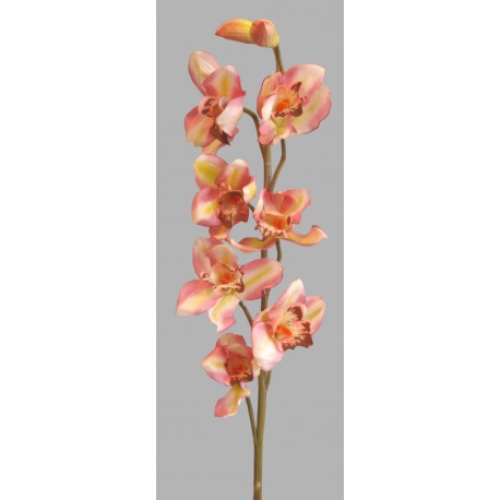 Orchidej