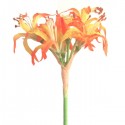 Lilie - b.oranžovo-žlutá