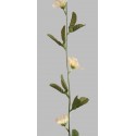 Girlanda Azalea krémová 150 cm