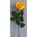 Růže gigant žlutá 95 cm