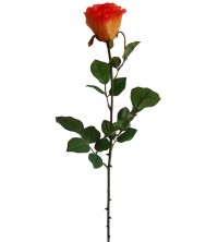 Růže oranžová 69 cm