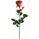 Růže oranžová 69 cm
