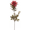 Růže oranžovo-žluto-st.růžová 75 cm