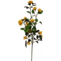 Růže oranžová 75 cm