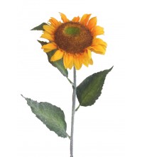 Slunečnice žlutá 69 cm
