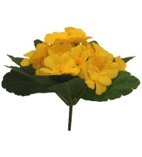 Primule Prvosenka žlutá 23 cm