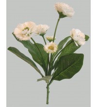Bellis bílý 24 cm