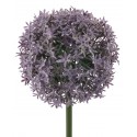 Česnek květ sv. fialový 90 cm