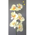 Orchidej sv. žlutá 78 cm