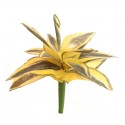 Mini sanseviera zeleno-žlutá 22 cm