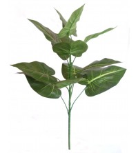 Philo zelený 75 cm