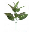 Philo zelený 75 cm