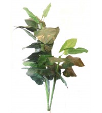 Caladium jumbo zelený 180 cm