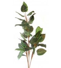Evegreen zelený 150 cm