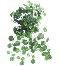 Geranium převis 80 cm