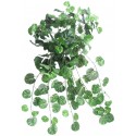 Geranium převis 80 cm