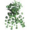 Geranium
