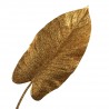Anturie list