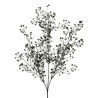 Větvička eukalypthus