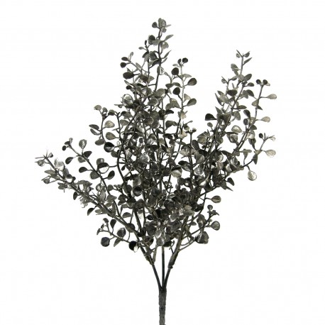 Větvička eukalypthus