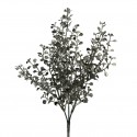 Větvička eukalyptus starostříbro 35 cm